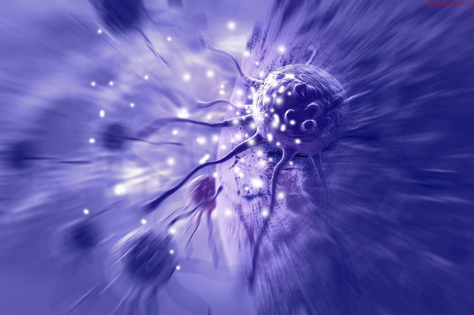 Invading-Cancer-Cells-Illustration.jpg